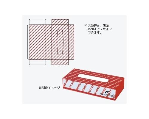 オリジナルボックスティッシュレギュラー〔100Ｗ〕（）画像-2