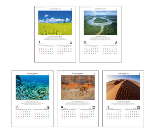 エコロジーカレンダー（NC-5）画像-3