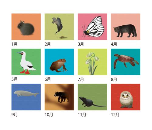 日本の絶滅危動物カレンダー　(All eco)（NZ-409）画像-3