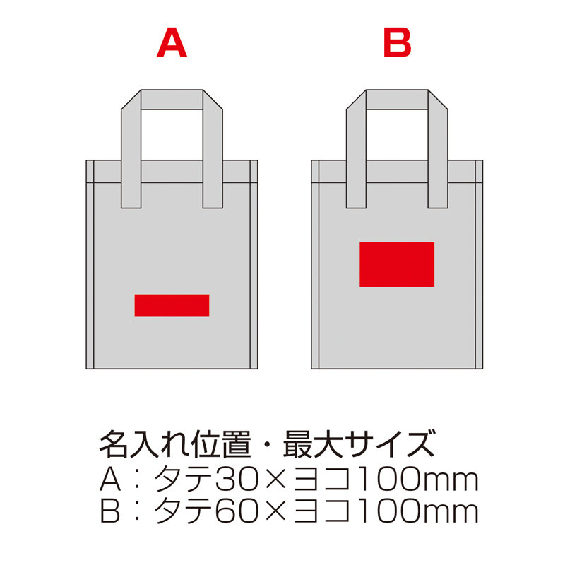 600mlボトルが6本入る保冷温バッグ（253018）画像-4