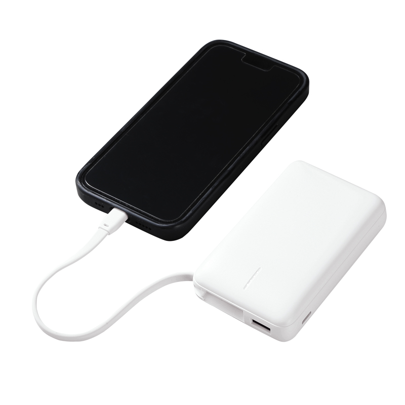 リン酸鉄急速充電モバイルバッテリー10000(ホワイト)(265481)画像-5