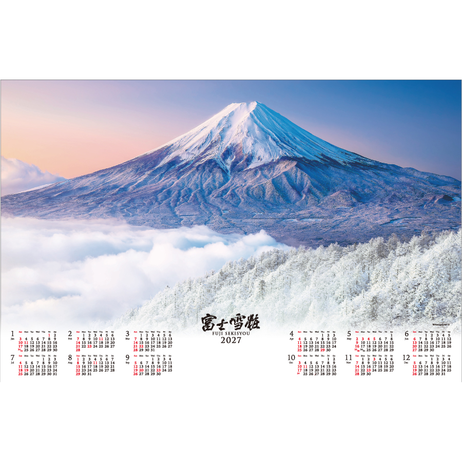 【超早割】【不織布】富士雪粧
