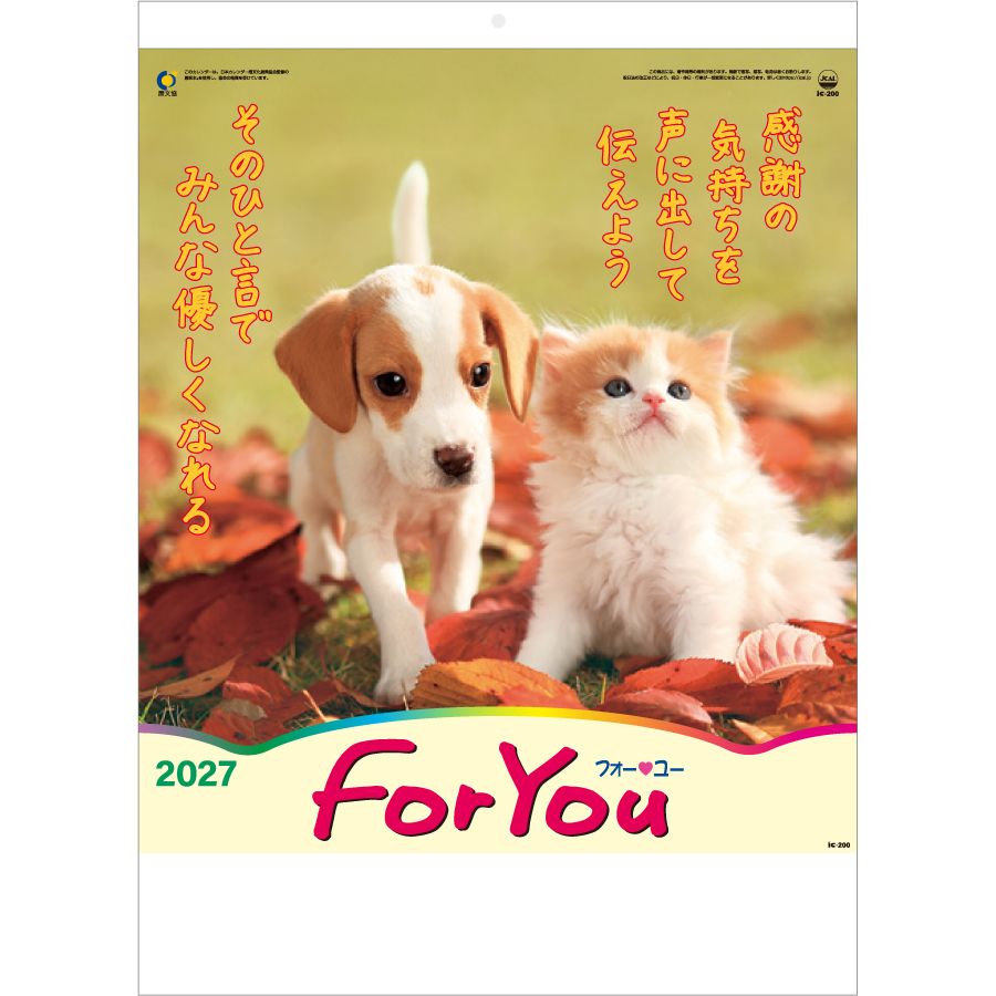【超早割】FOR YOU (フォー・ユー)