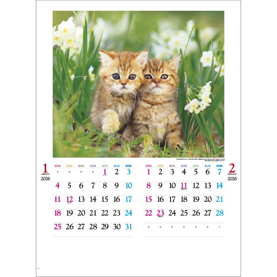 かわいい猫（IC-201H）画像-2
