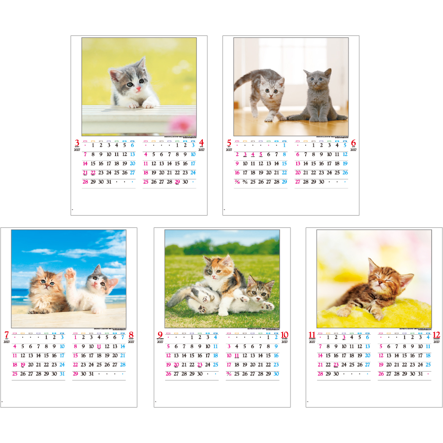 【超早割】かわいい猫(IC-201H)画像-3