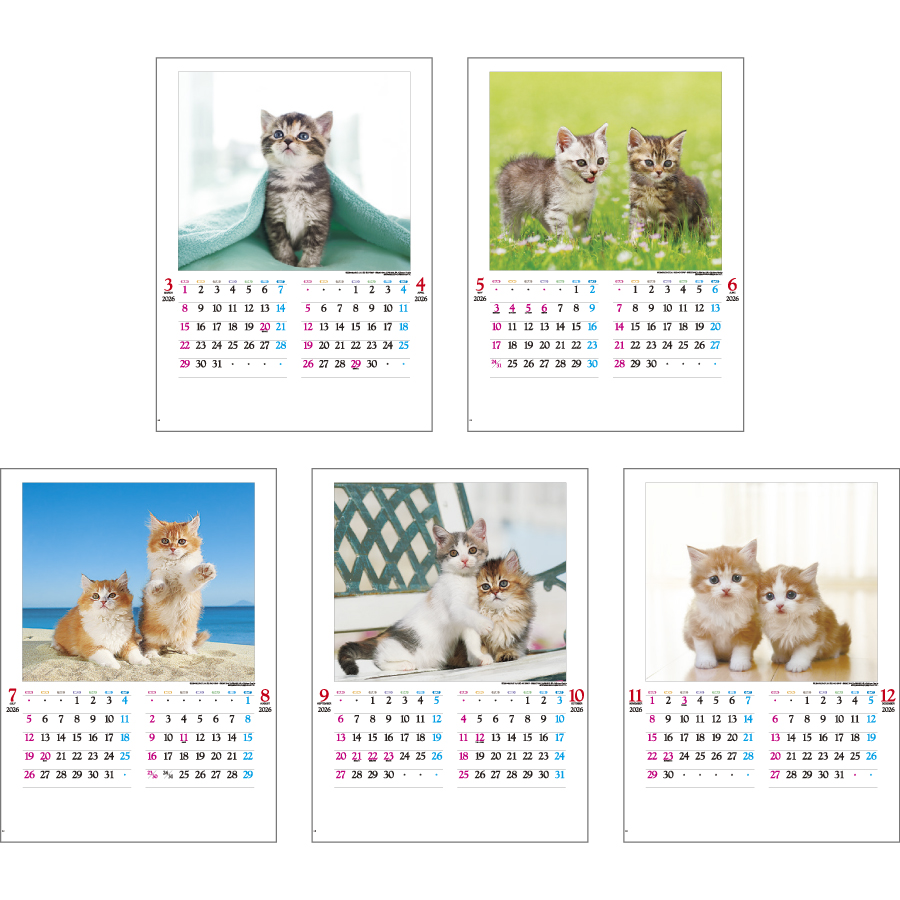 かわいい猫（IC-201H）画像-3