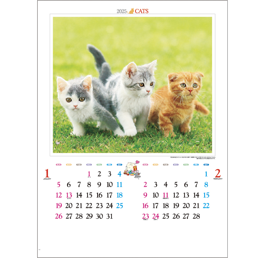 かわいい猫（IC-201）画像-2