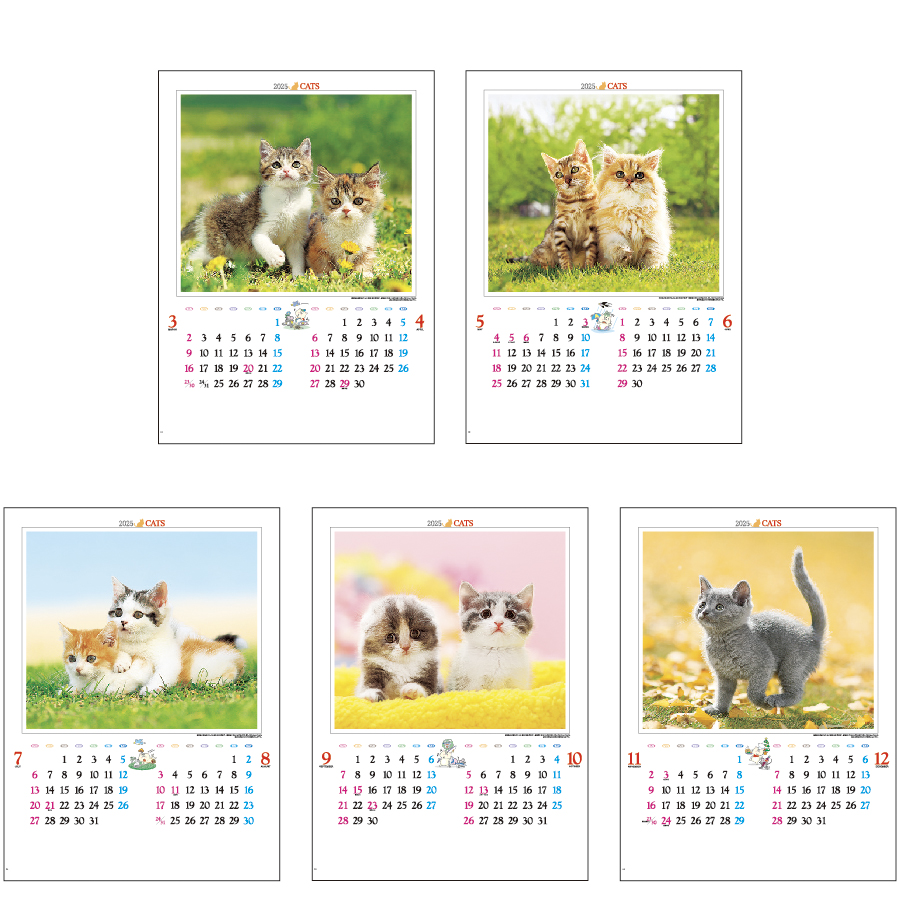 かわいい猫（IC-201）画像-3