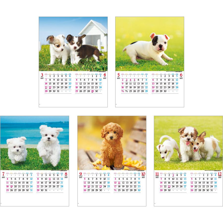 【超早割】かわいい犬(IC-203H)画像-3