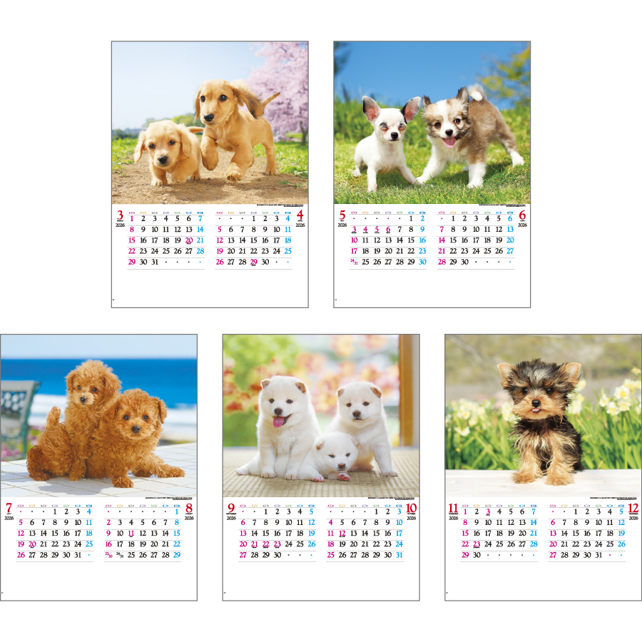 かわいい犬（IC-203H）画像-3