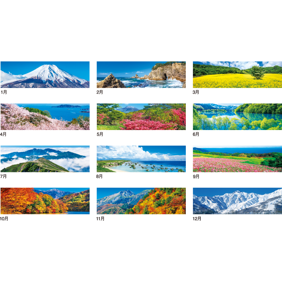 季節のパノラマ（小）（IC-255）画像-3