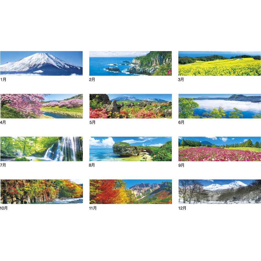 季節のパノラマ（小）（IC-255）画像-3