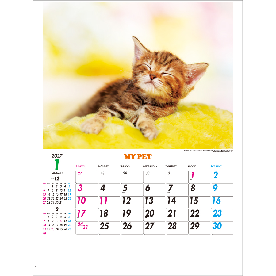 【超早割】マイペット（IC-261H）画像-2