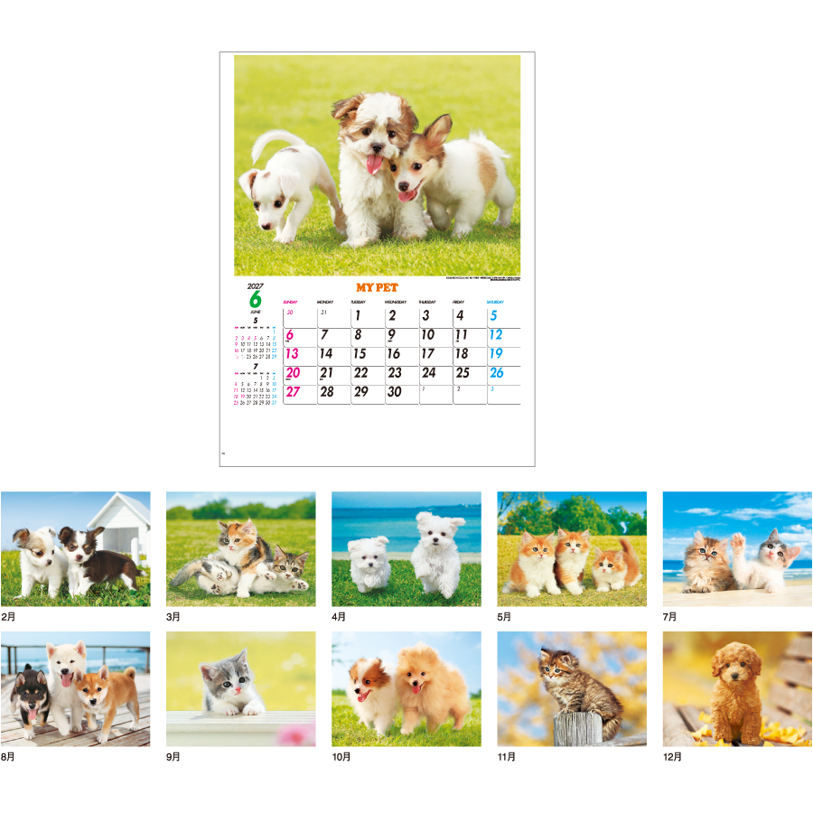 【超早割】マイペット（IC-261H）画像-3