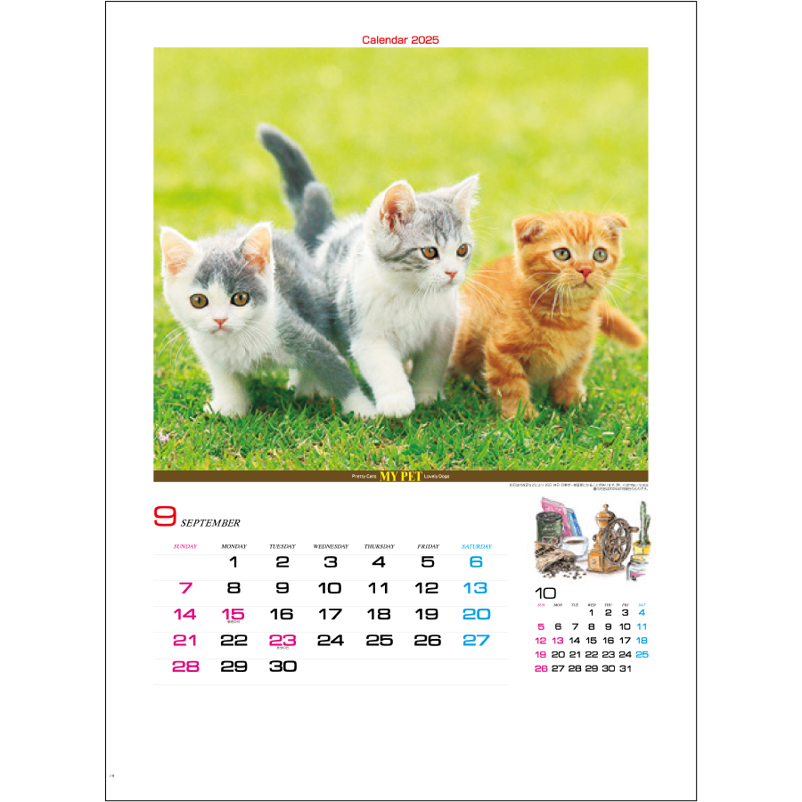 マイペット（IC-261）画像-2