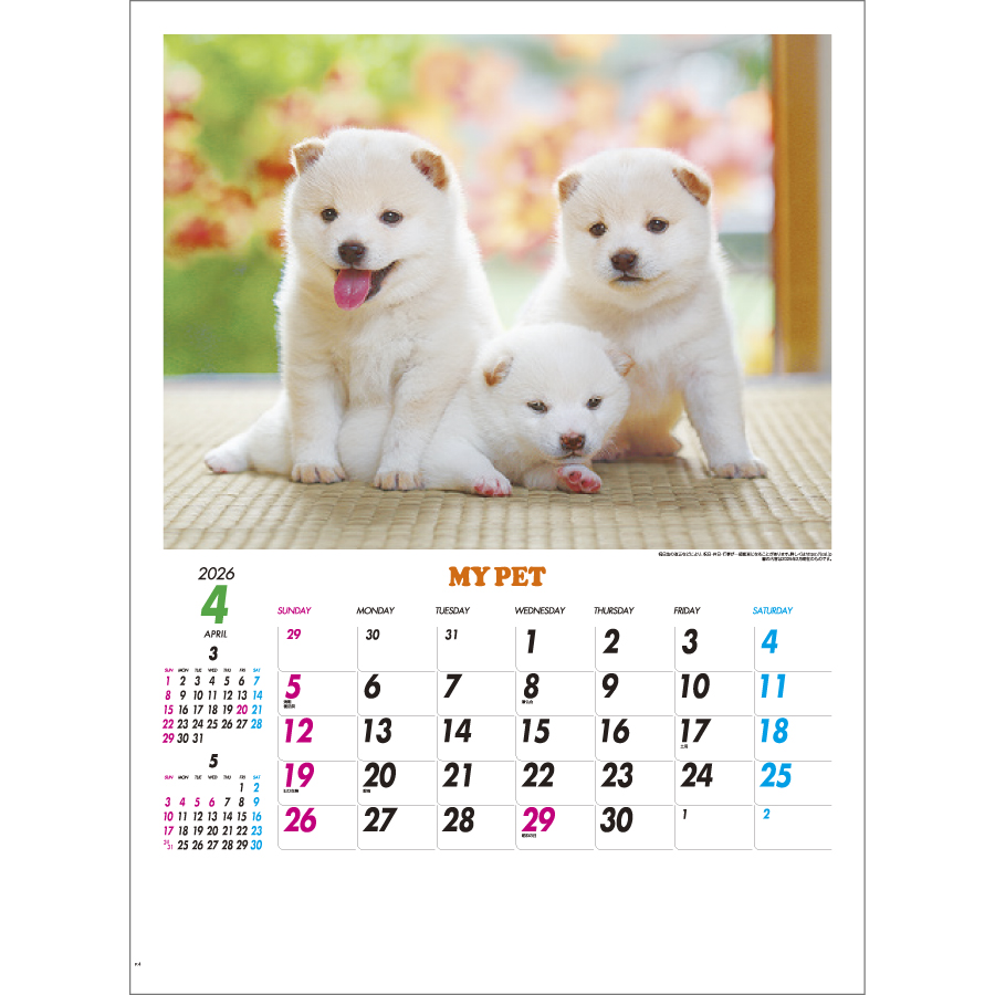 マイペット（IC-261H）画像-2
