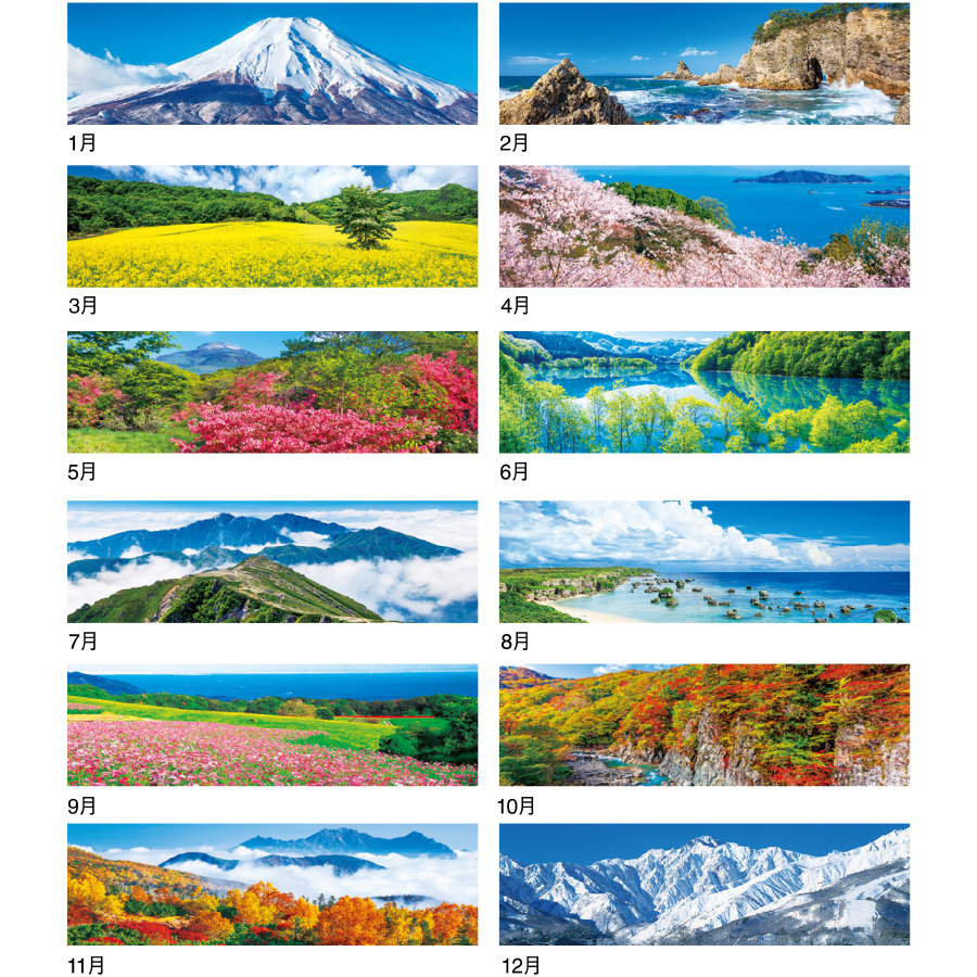 季節のパノラマ（IC-295H）画像-3
