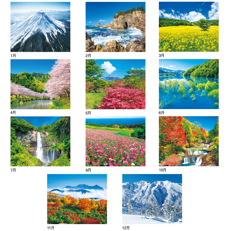 春秋の彩（IC-297H）画像-3