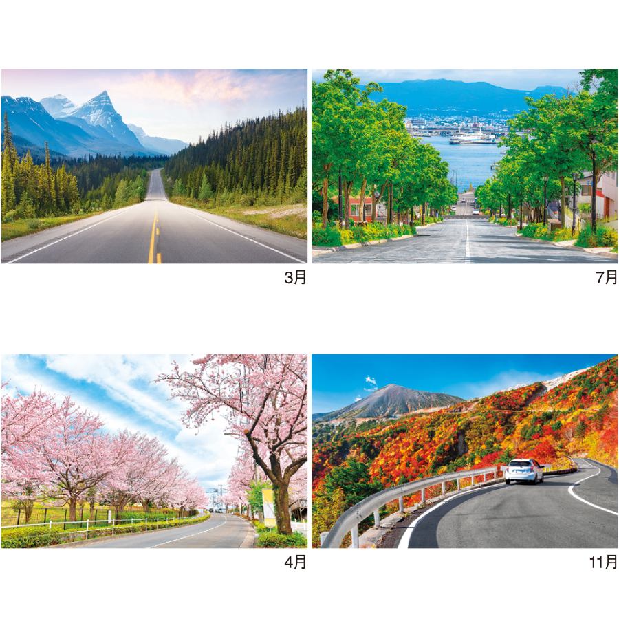 THE ROAD（IC-709H）画像-3