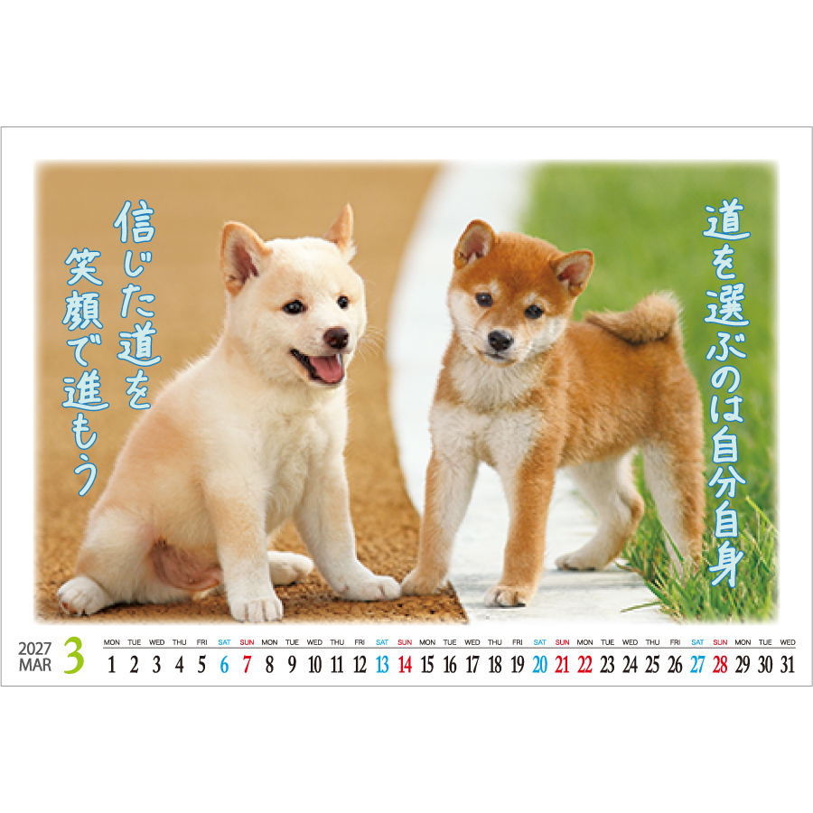 【超早割】卓上 すまいる（IC-840）画像-2