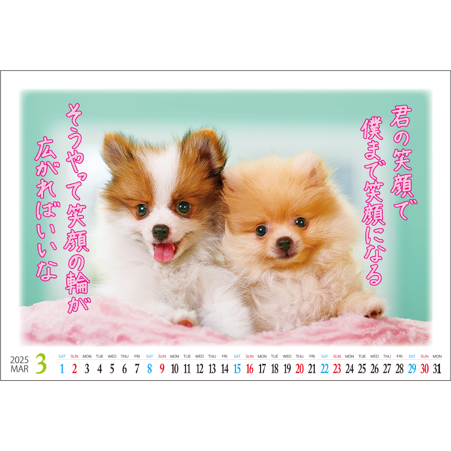 卓上 すまいる（IC-840）画像-2