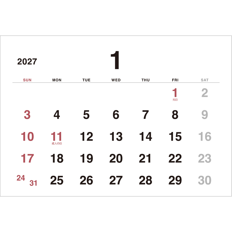 【超早割】Basicplan STANDARD(IW-105)画像-3