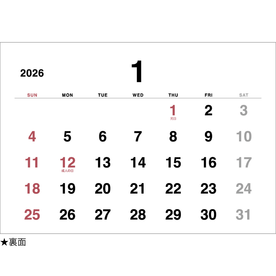 Basicplan STANDARD（IW-105）画像-3