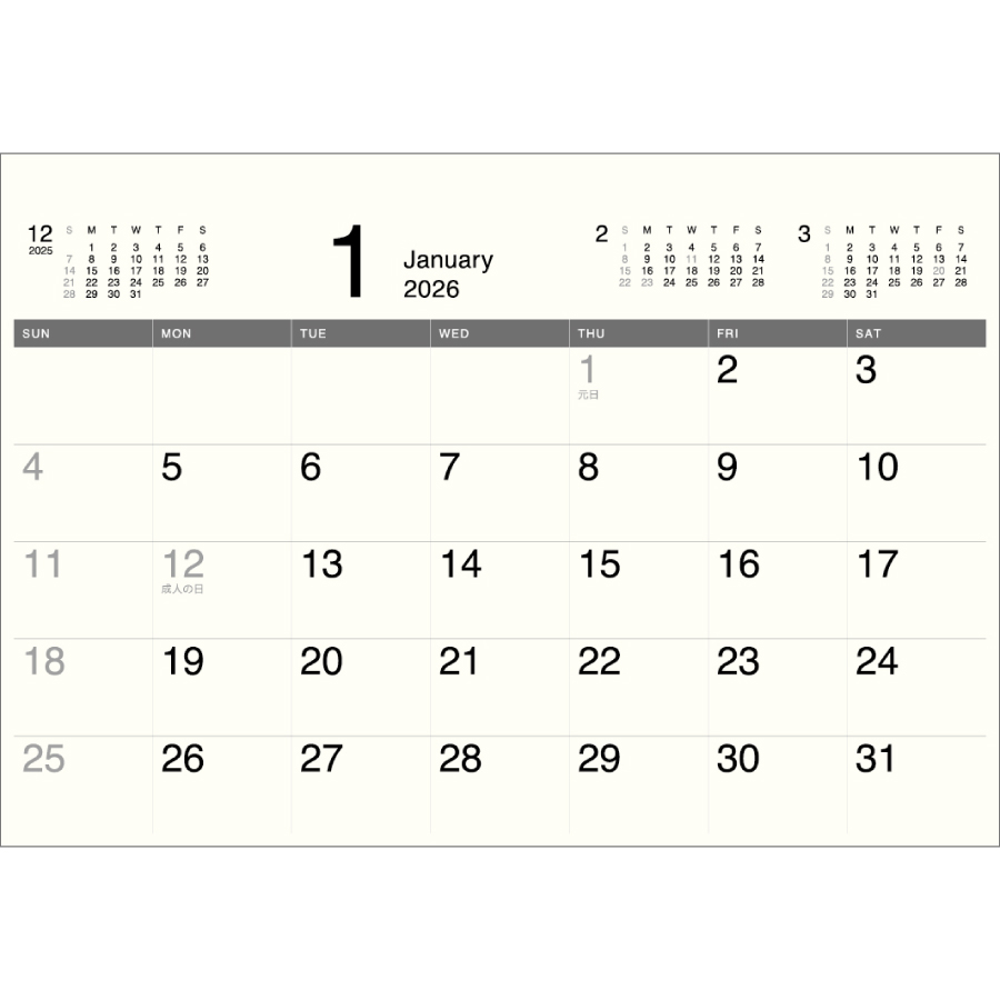 Basicplan MONO（IW-110）画像-2