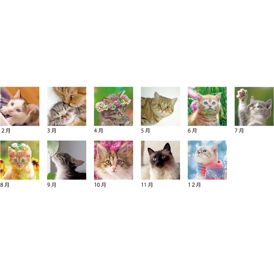 【超早割】キャットデスクカレンダー(KJ-200)画像-3