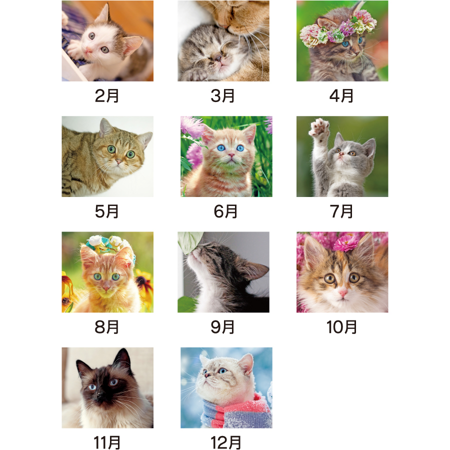 【超早割】ラブリーキャット(KJ-6)画像-3