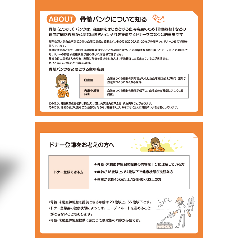 日本骨髄バンクカレンダー（KY-203）画像-2