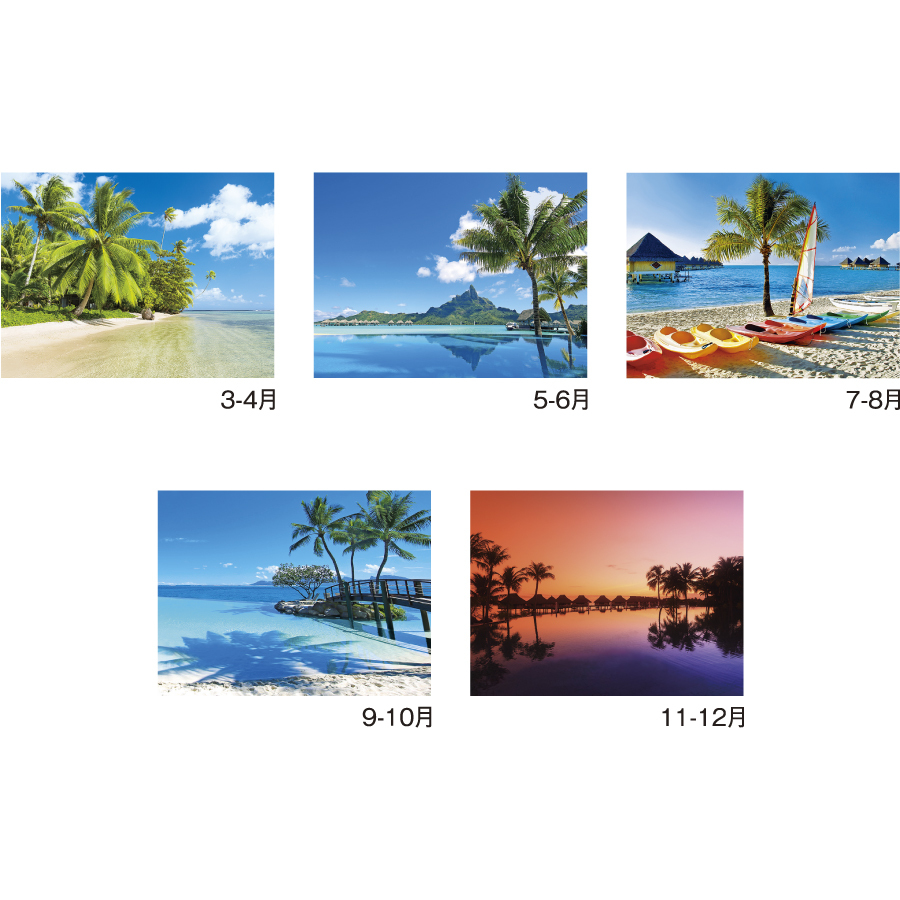 南太平洋（MM-218）画像-3