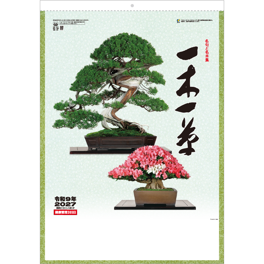 【超早割】一木一草