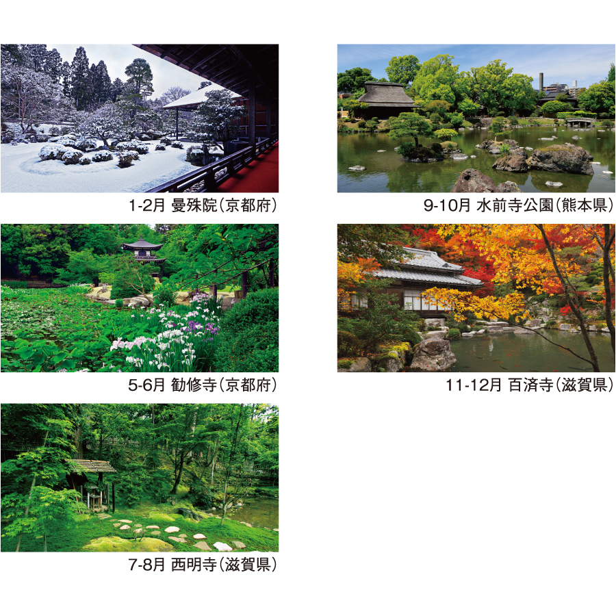【超早割】四季の庭(NB-251)画像-3