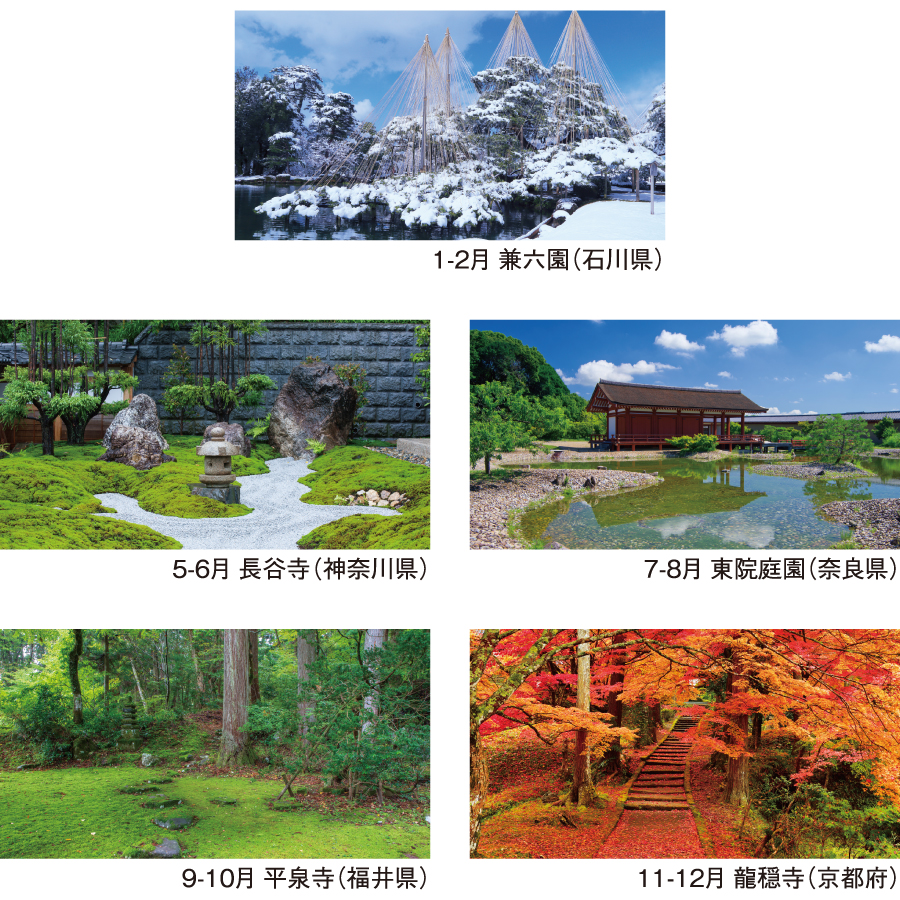 四季の庭（NB-251）画像-3