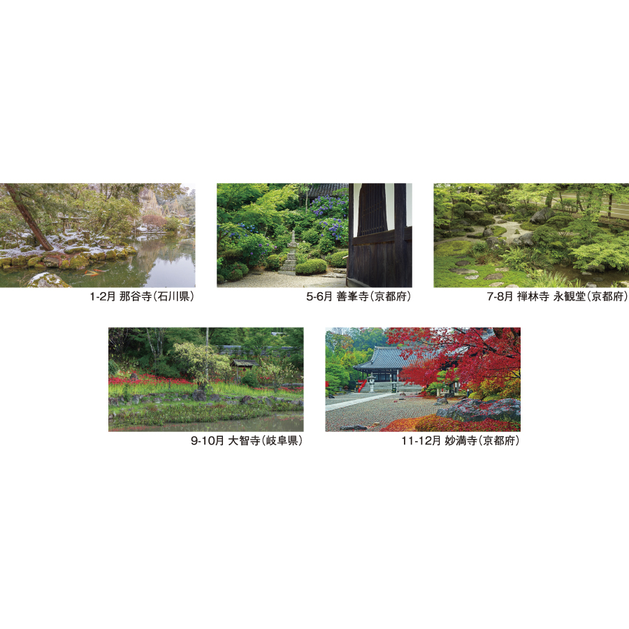 四季の庭（NB-251）画像-3