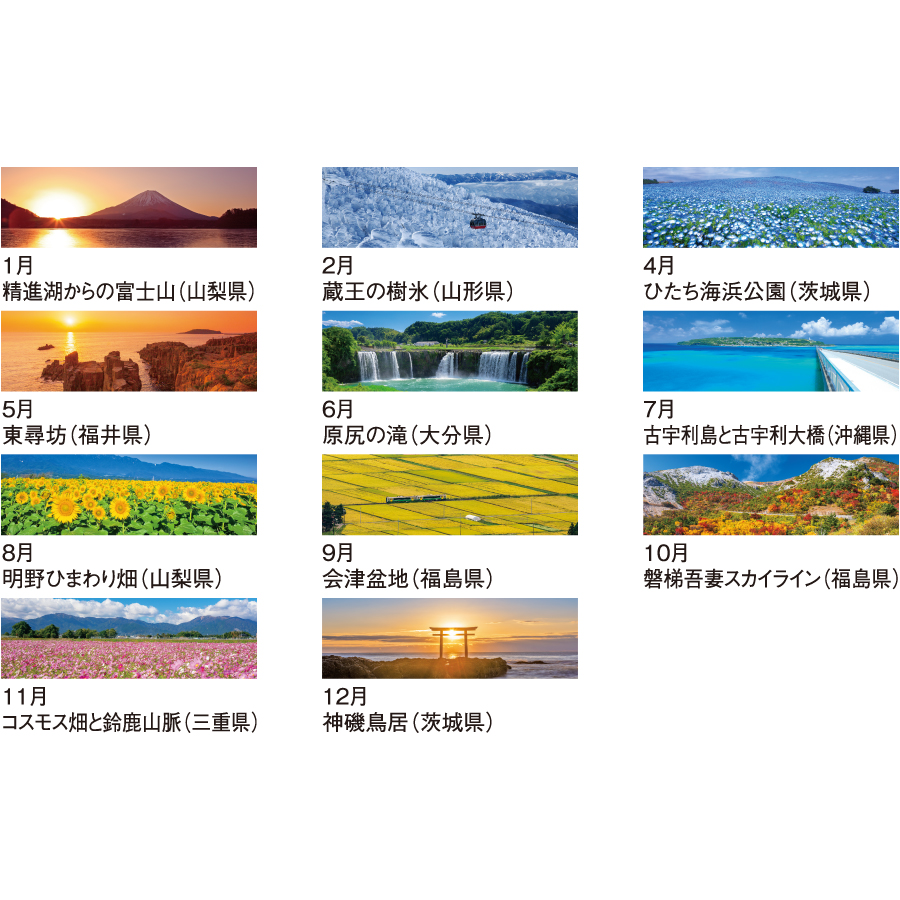 【超早割】季節のパノラマ(NB-381)画像-3