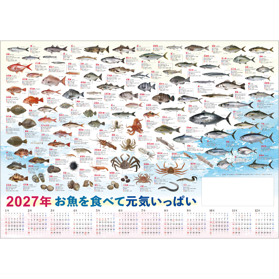 【超早割】特選.お魚年表