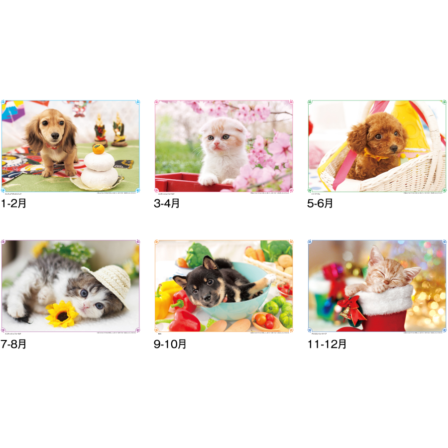 【超早割】ハッピー・フレンズ(ND-106)画像-3