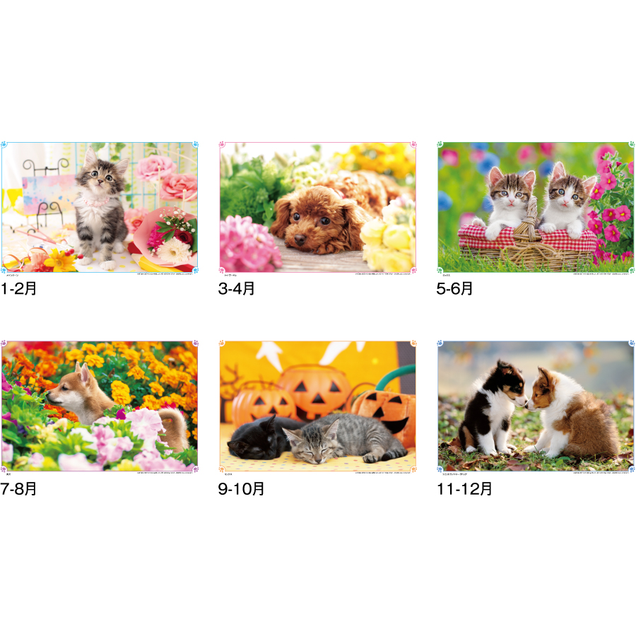 ハッピー･フレンズ（ND-106）画像-3