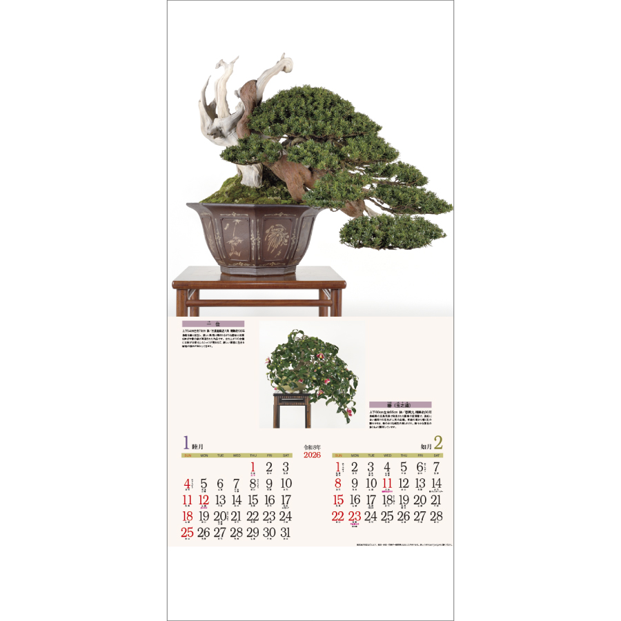 銘樹 (盆栽)（ND-115）画像-2