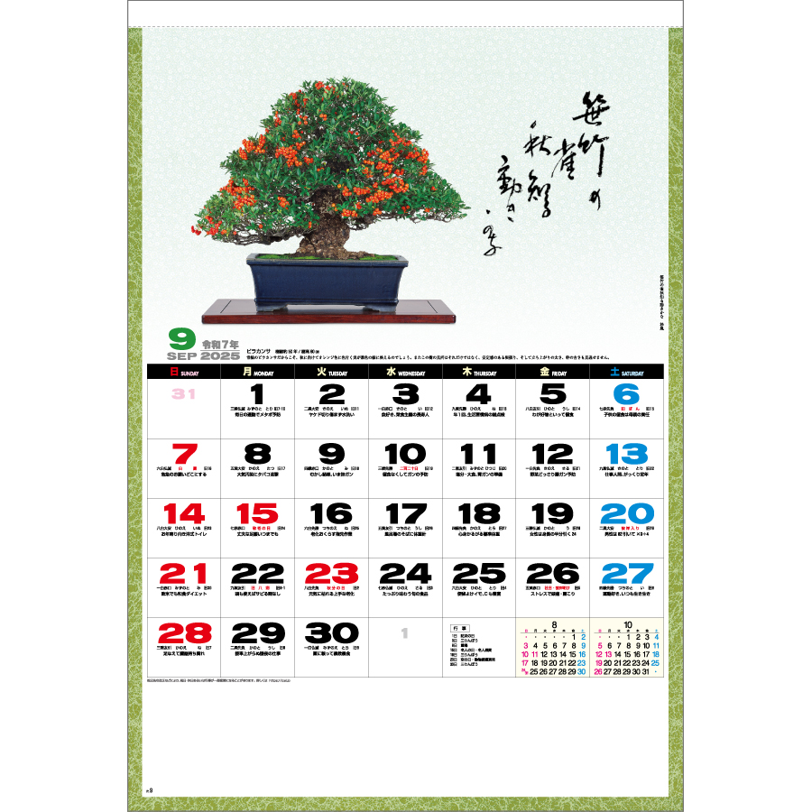 一木一草（NF-211）画像-2
