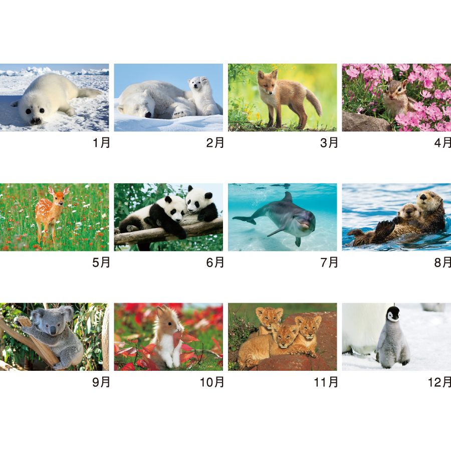 かわいい動物たち（NK-104）画像-3