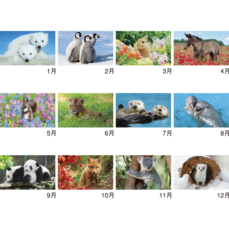 かわいい動物たち（NK-104）画像-3