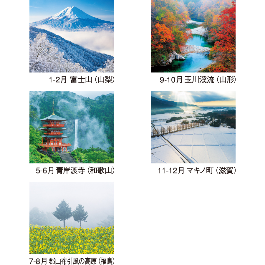 【超早割】四季の朝(NK-115)画像-2