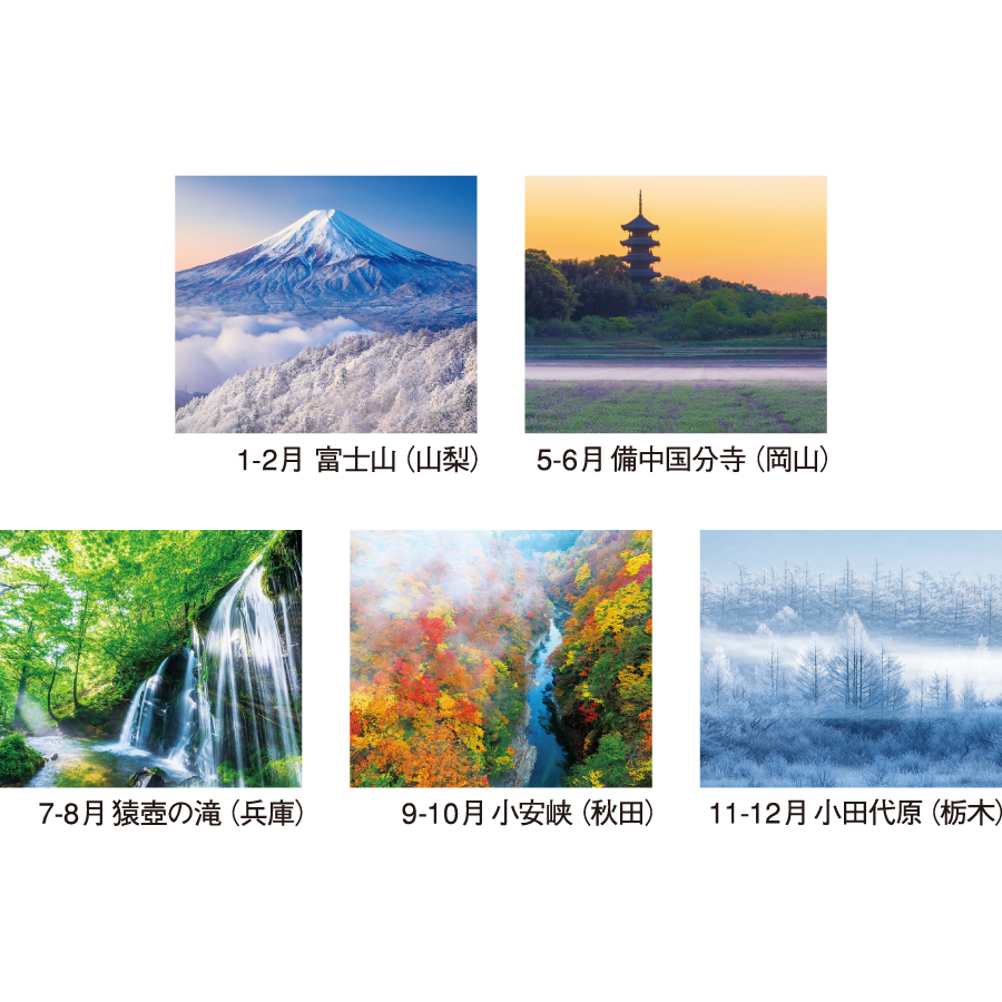四季の朝（NK-115）画像-3