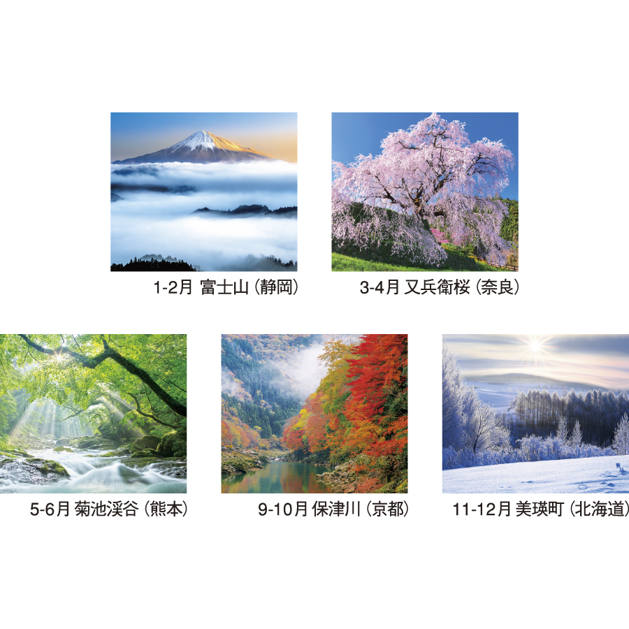 四季の朝（NK-115）画像-3
