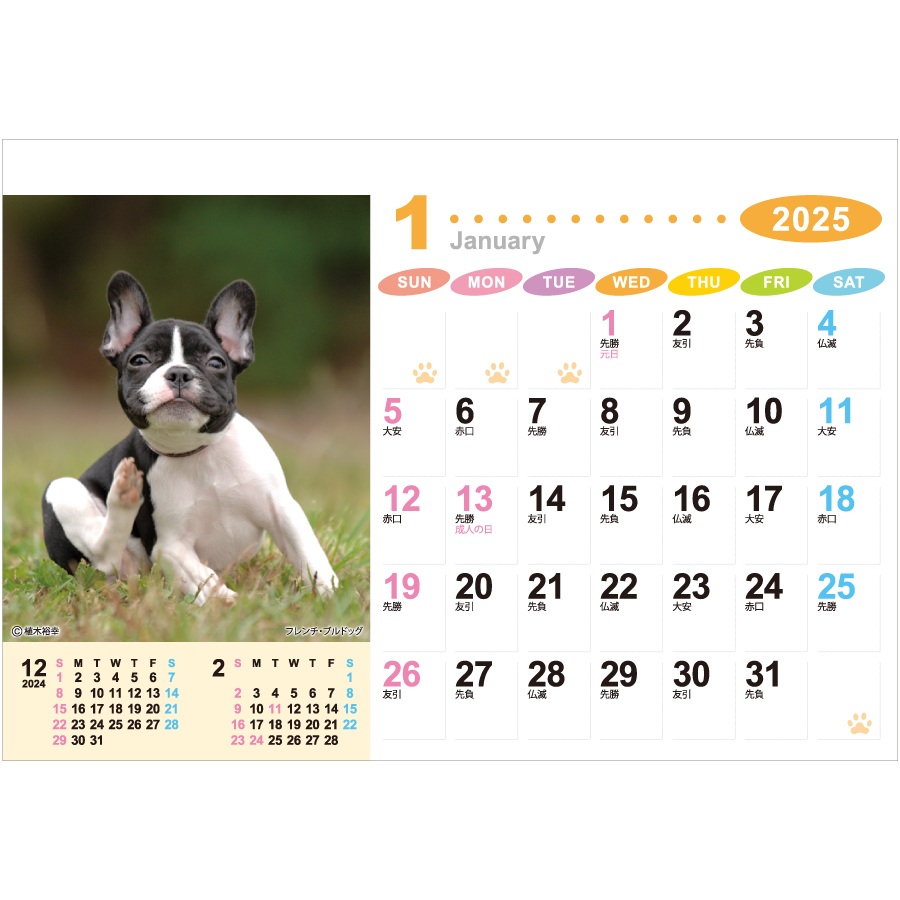 ラブリーフレンズ（犬・猫）（NZ-130）画像-2