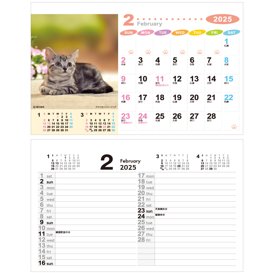 ラブリーフレンズ（犬・猫）（NZ-130）画像-3