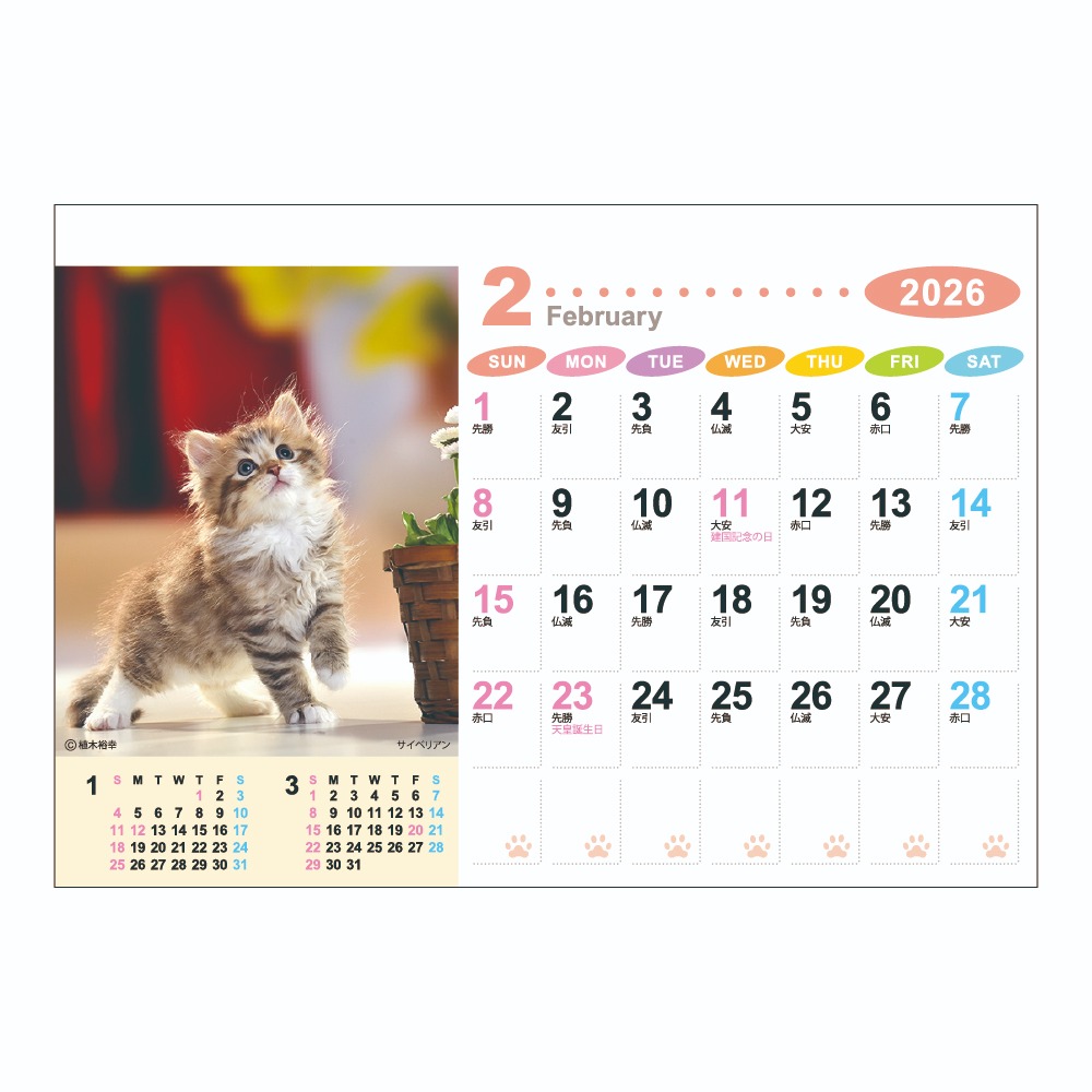 ラブリーフレンズ(犬･猫)（NZ-130）画像-3